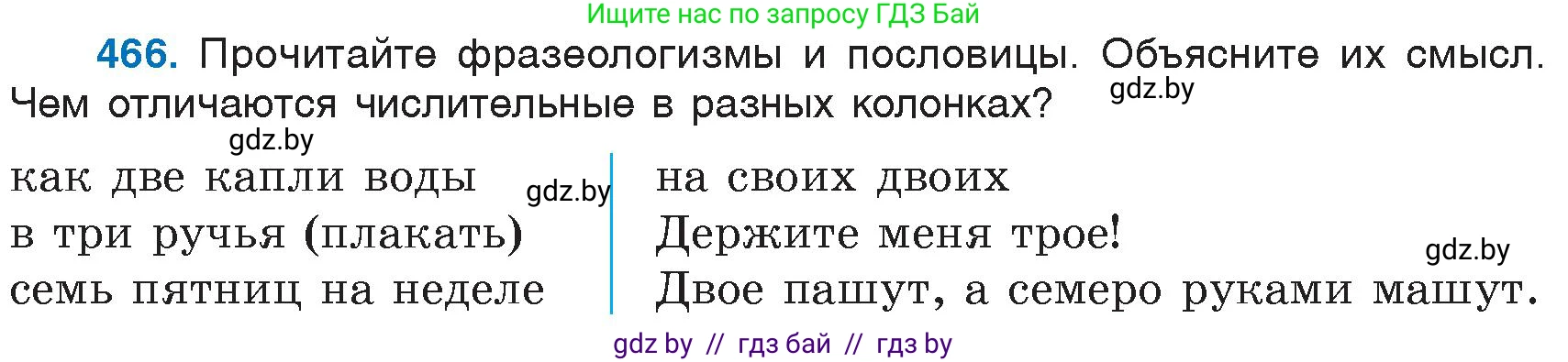 Русский язык, 6 класс Учебник, авторы: Мурина Лариса Александровна, Игнатович Татьяна Владимировна, Жадейко Жанна Фёдоровна, издательство Национальный институт образования, Минск, 2020, страница 205, номер 466, Условие