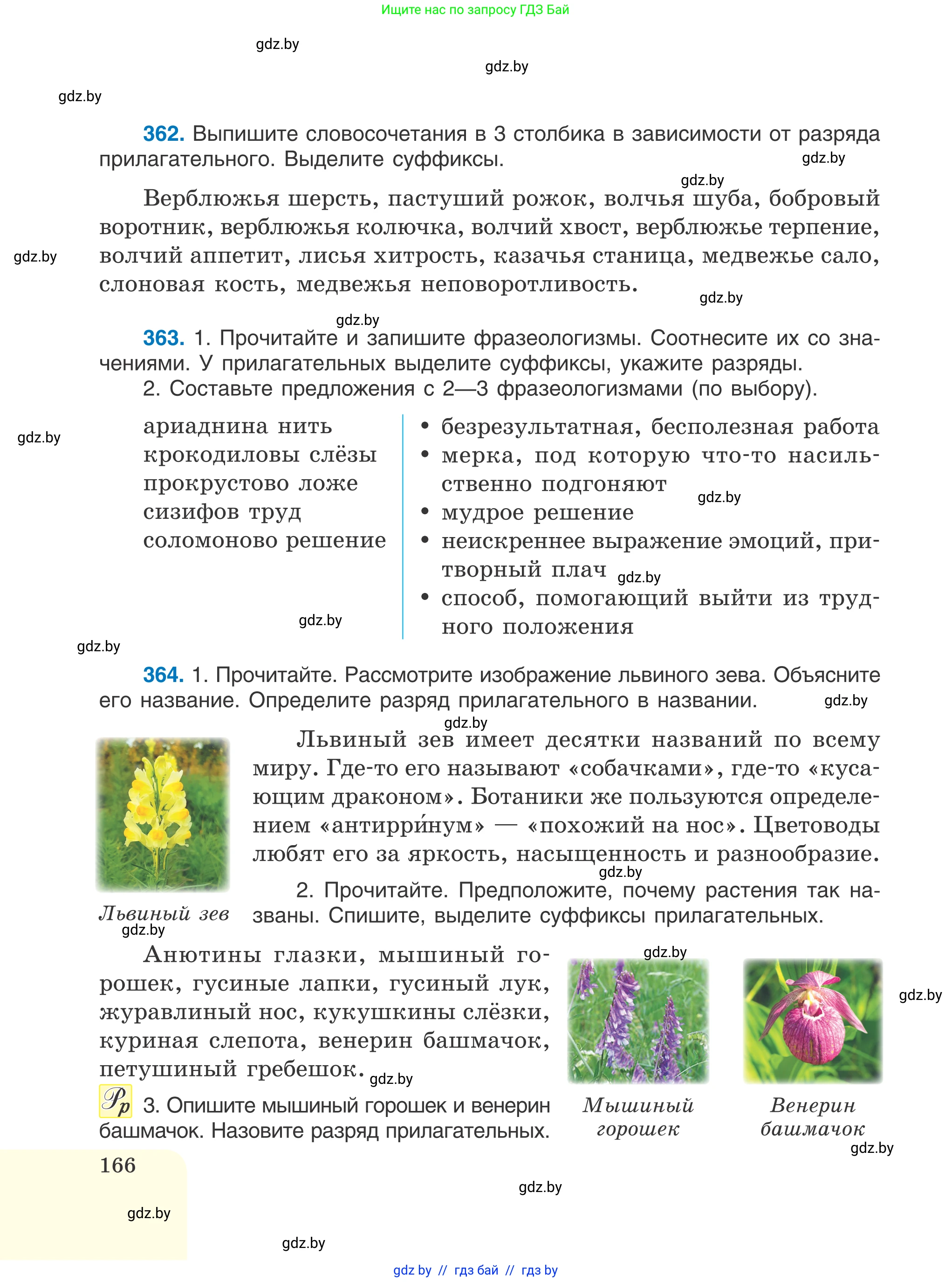Русский язык, 6 класс Учебник, авторы: Мурина Лариса Александровна, Игнатович Татьяна Владимировна, Жадейко Жанна Фёдоровна, издательство Национальный институт образования, Минск, 2020, страница 166