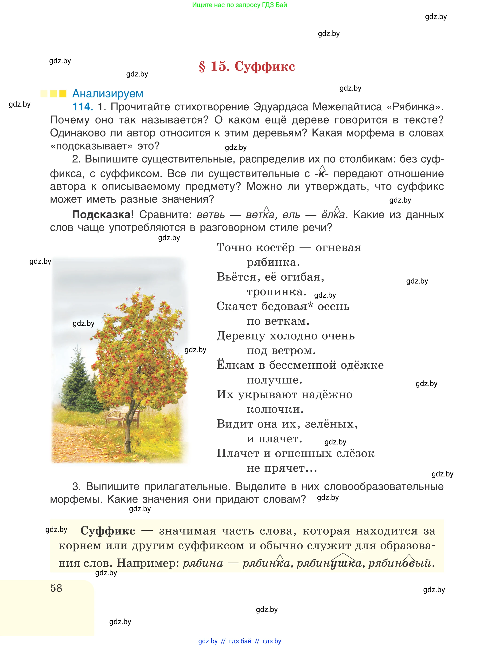 Русский язык, 6 класс Учебник, авторы: Мурина Лариса Александровна, Игнатович Татьяна Владимировна, Жадейко Жанна Фёдоровна, издательство Национальный институт образования, Минск, 2020, страница 58
