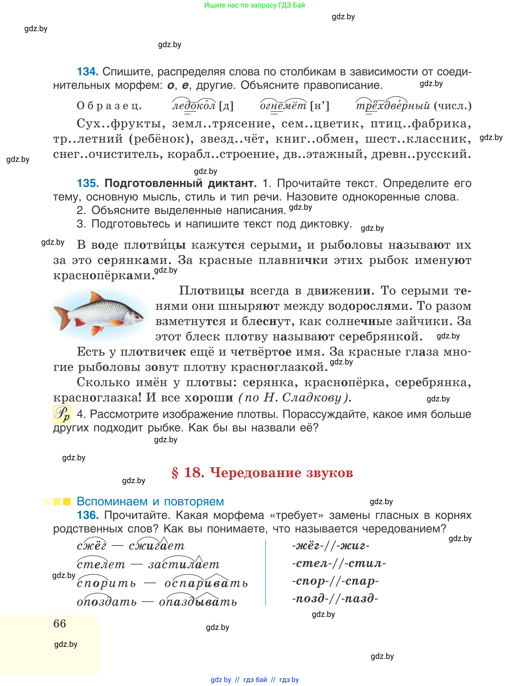 Русский язык, 6 класс Учебник, авторы: Мурина Лариса Александровна, Игнатович Татьяна Владимировна, Жадейко Жанна Фёдоровна, издательство Национальный институт образования, Минск, 2020, страница 66