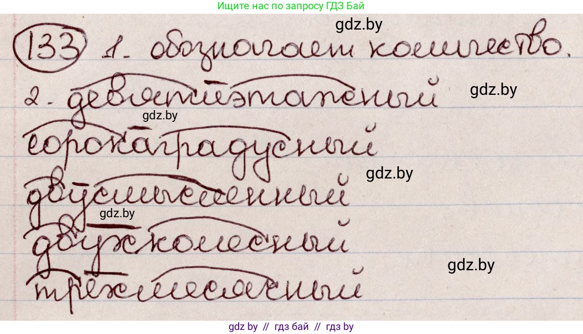 Русский язык, 6 класс Учебник, авторы: Мурина Лариса Александровна, Игнатович Татьяна Владимировна, Жадейко Жанна Фёдоровна, издательство Национальный институт образования, Минск, 2020, страница 65, номер 133, Решение 2