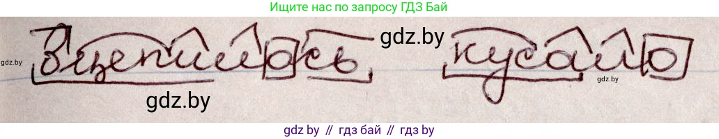 Русский язык, 6 класс Учебник, авторы: Мурина Лариса Александровна, Игнатович Татьяна Владимировна, Жадейко Жанна Фёдоровна, издательство Национальный институт образования, Минск, 2020, страница 68, номер 142, Решение 2 (продолжение 2)