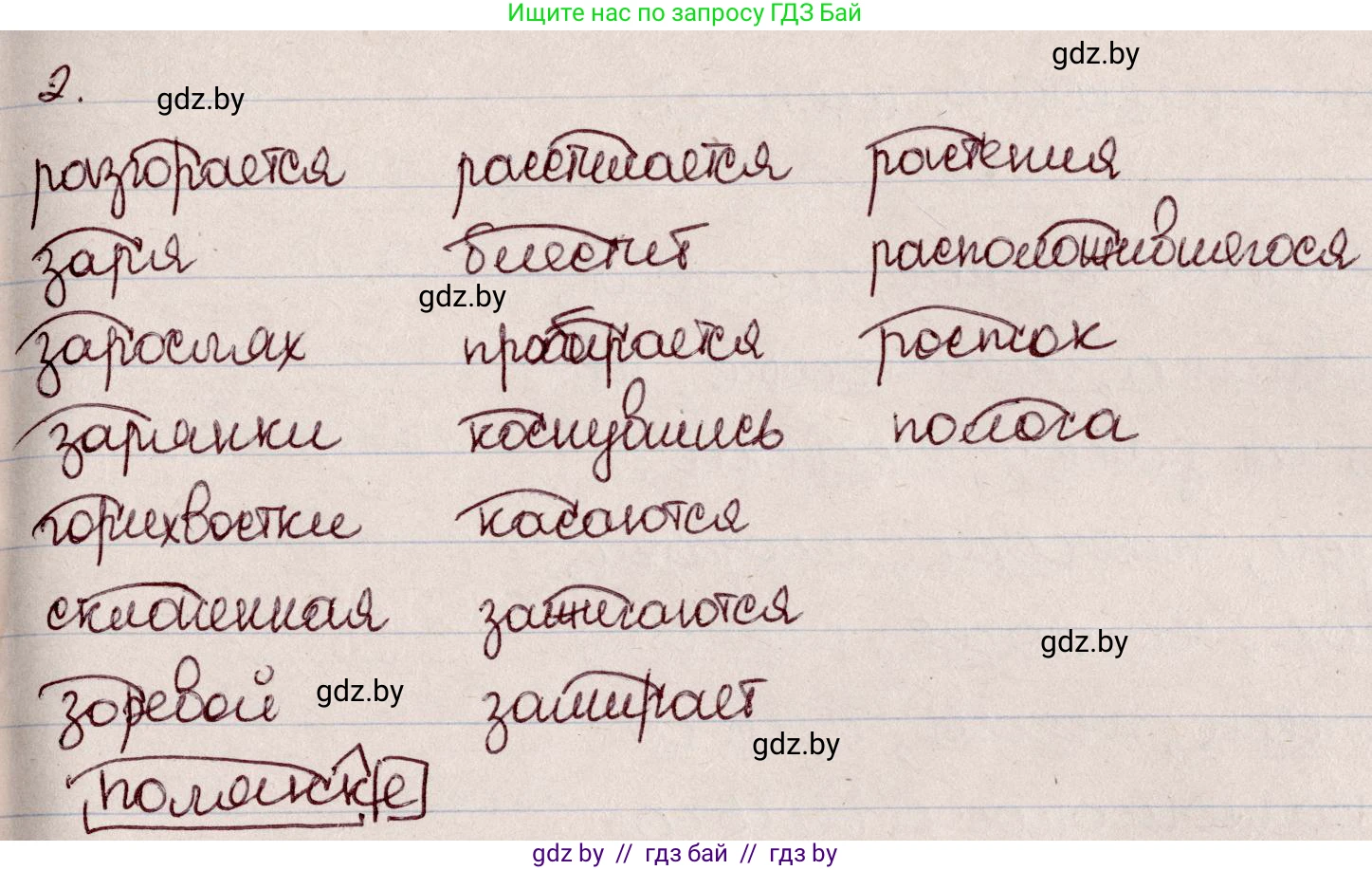 Русский язык, 6 класс Учебник, авторы: Мурина Лариса Александровна, Игнатович Татьяна Владимировна, Жадейко Жанна Фёдоровна, издательство Национальный институт образования, Минск, 2020, страница 12, номер 15, Решение 2 (продолжение 2)