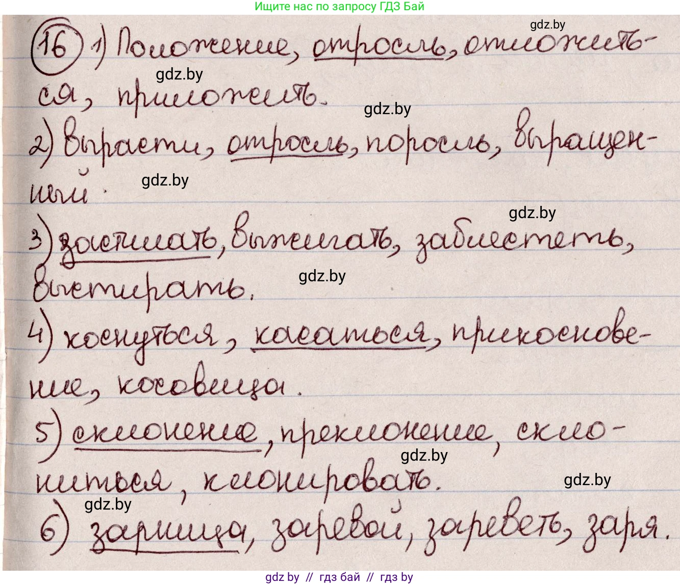 Русский язык, 6 класс Учебник, авторы: Мурина Лариса Александровна, Игнатович Татьяна Владимировна, Жадейко Жанна Фёдоровна, издательство Национальный институт образования, Минск, 2020, страница 12, номер 16, Решение 2