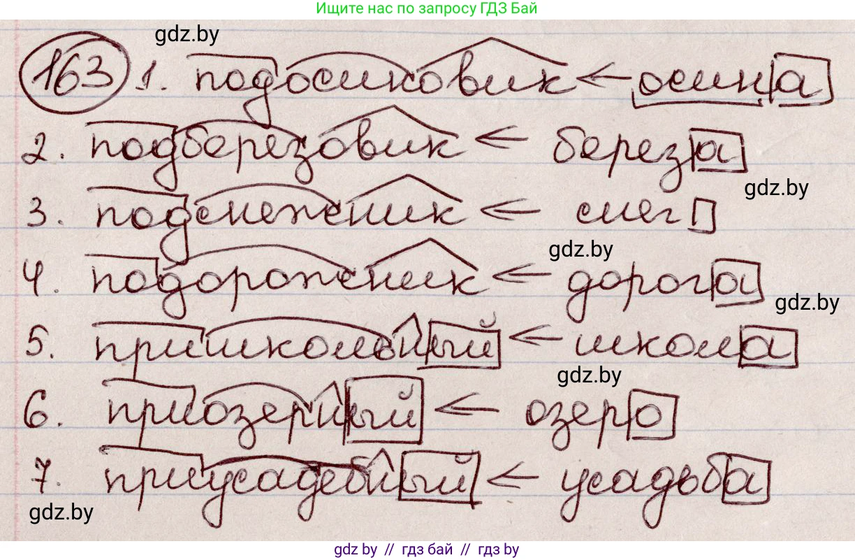 Русский язык, 6 класс Учебник, авторы: Мурина Лариса Александровна, Игнатович Татьяна Владимировна, Жадейко Жанна Фёдоровна, издательство Национальный институт образования, Минск, 2020, страница 77, номер 163, Решение 2