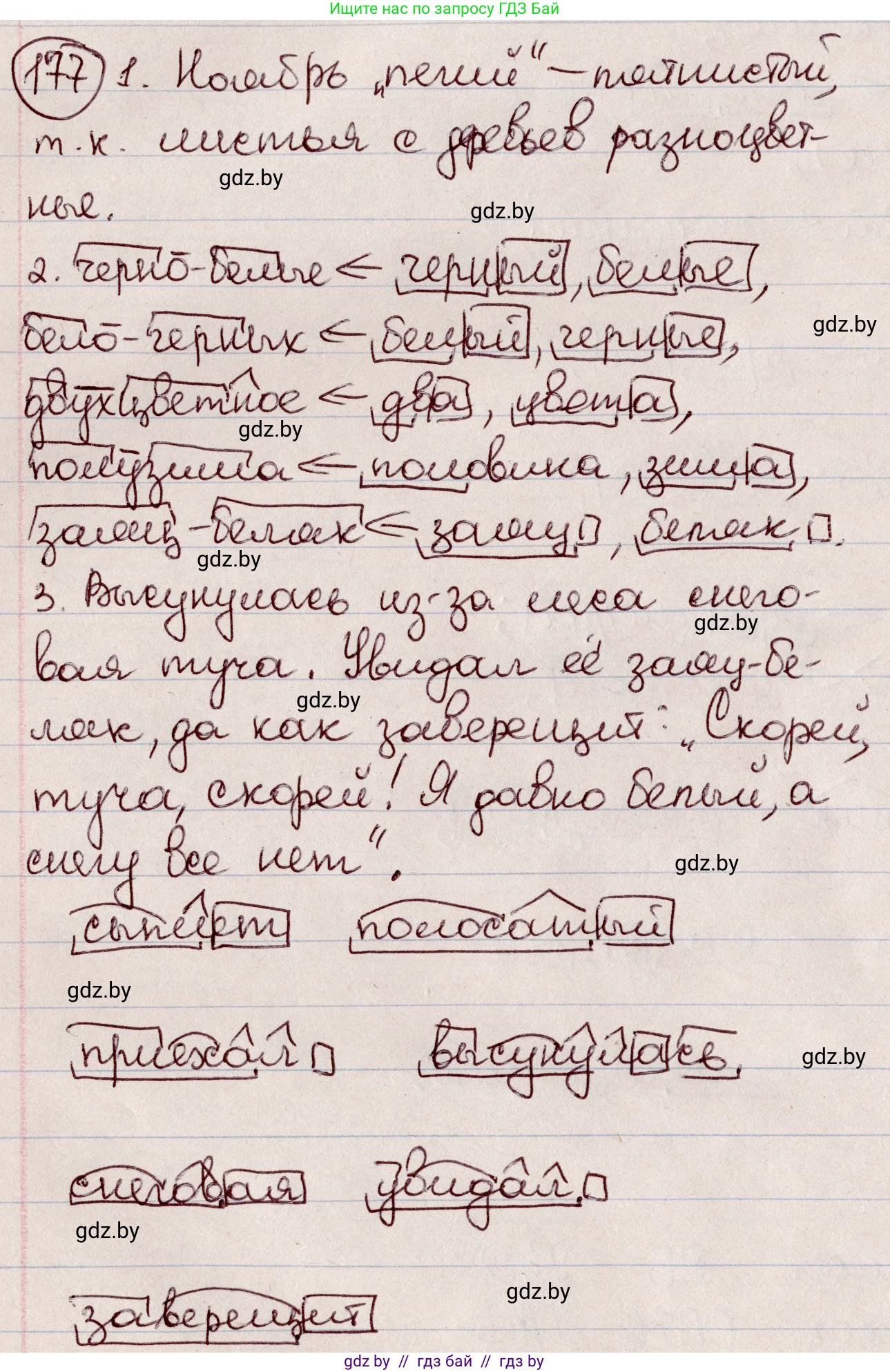 Русский язык, 6 класс Учебник, авторы: Мурина Лариса Александровна, Игнатович Татьяна Владимировна, Жадейко Жанна Фёдоровна, издательство Национальный институт образования, Минск, 2020, страница 82, номер 177, Решение 2