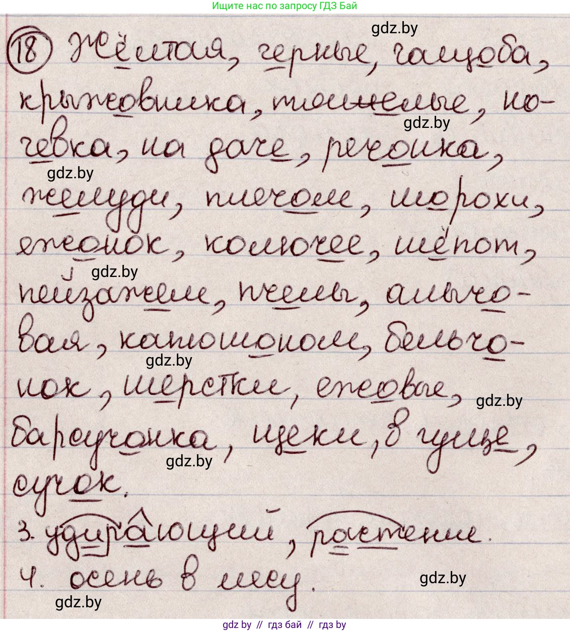 Русский язык, 6 класс Учебник, авторы: Мурина Лариса Александровна, Игнатович Татьяна Владимировна, Жадейко Жанна Фёдоровна, издательство Национальный институт образования, Минск, 2020, страница 13, номер 18, Решение 2