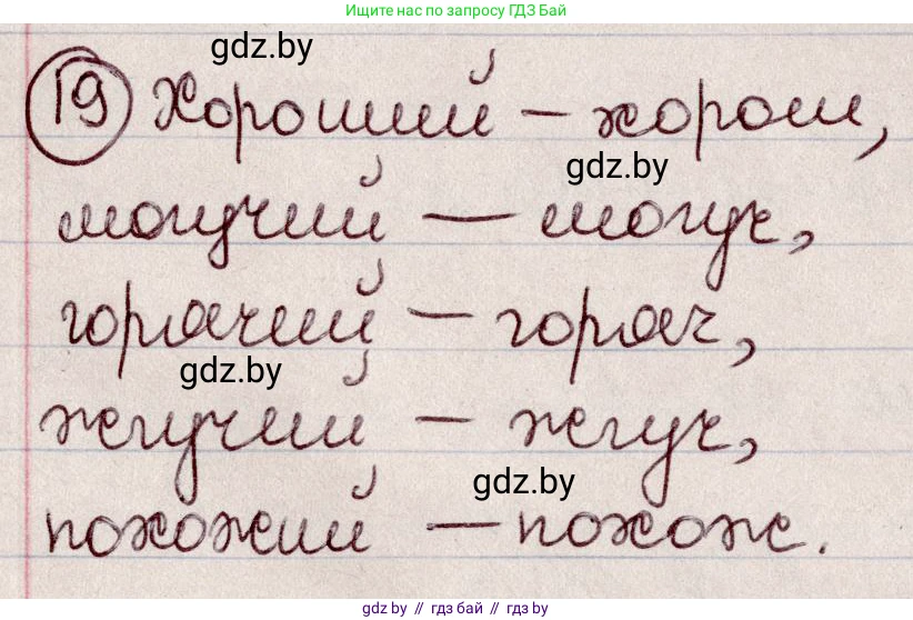 Русский язык, 6 класс Учебник, авторы: Мурина Лариса Александровна, Игнатович Татьяна Владимировна, Жадейко Жанна Фёдоровна, издательство Национальный институт образования, Минск, 2020, страница 14, номер 19, Решение 2