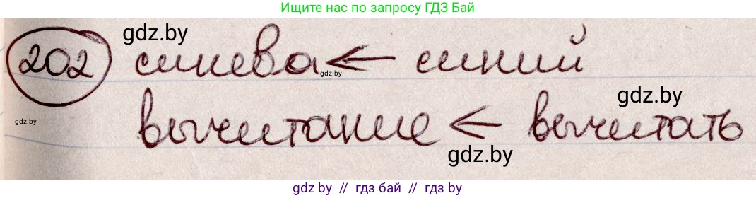 Русский язык, 6 класс Учебник, авторы: Мурина Лариса Александровна, Игнатович Татьяна Владимировна, Жадейко Жанна Фёдоровна, издательство Национальный институт образования, Минск, 2020, страница 97, номер 202, Решение 2