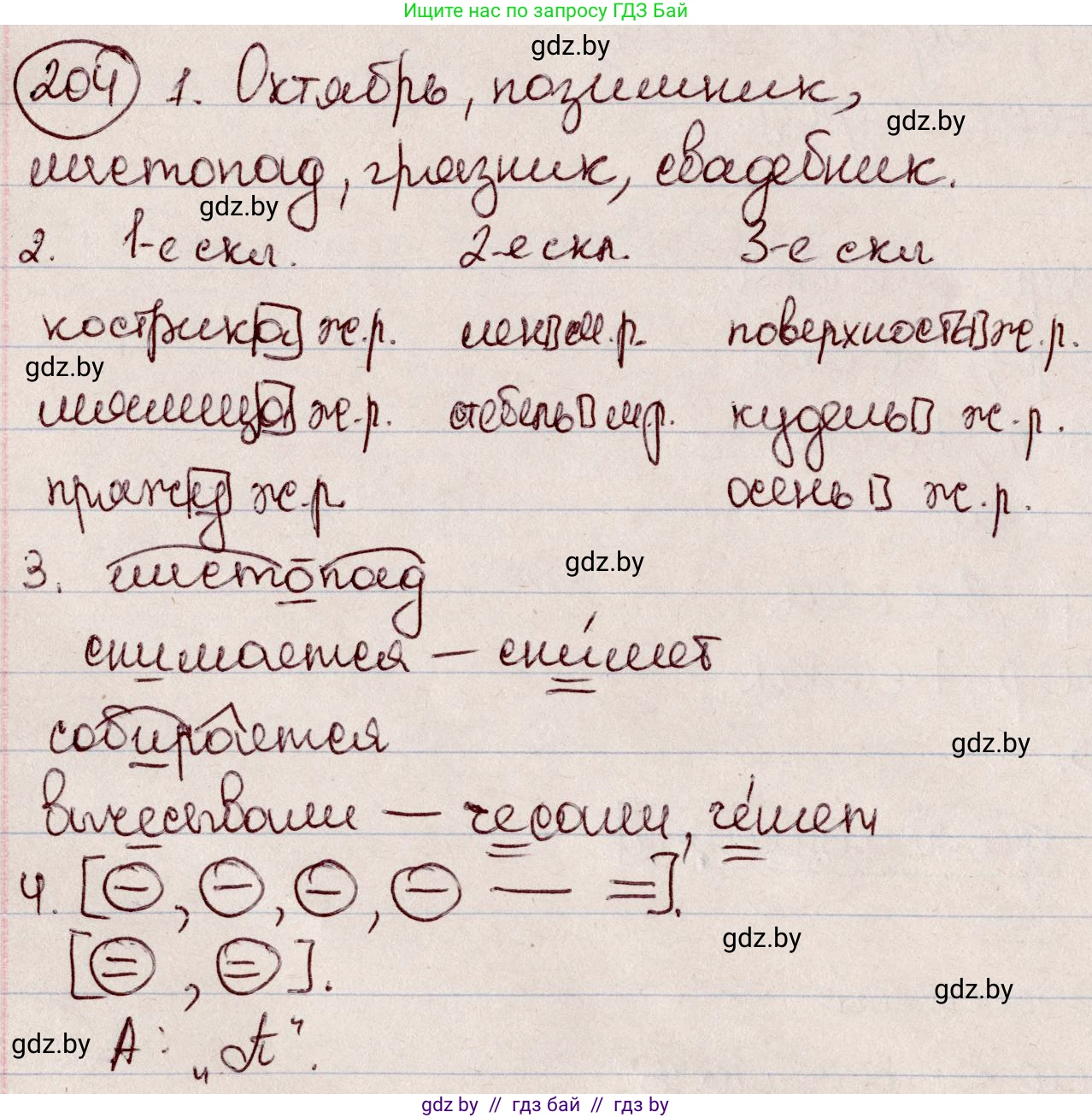 Русский язык, 6 класс Учебник, авторы: Мурина Лариса Александровна, Игнатович Татьяна Владимировна, Жадейко Жанна Фёдоровна, издательство Национальный институт образования, Минск, 2020, страница 98, номер 204, Решение 2