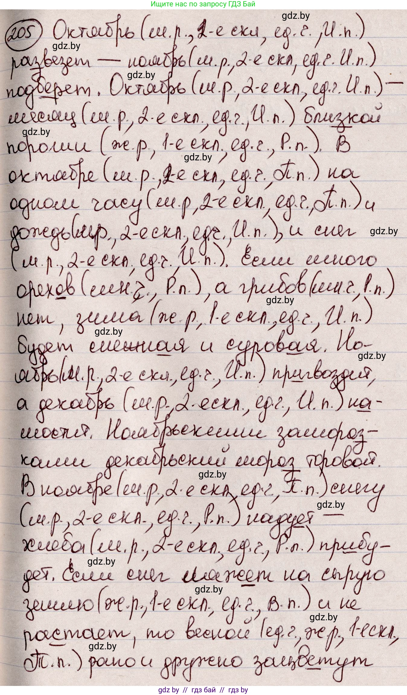 Русский язык, 6 класс Учебник, авторы: Мурина Лариса Александровна, Игнатович Татьяна Владимировна, Жадейко Жанна Фёдоровна, издательство Национальный институт образования, Минск, 2020, страница 98, номер 205, Решение 2