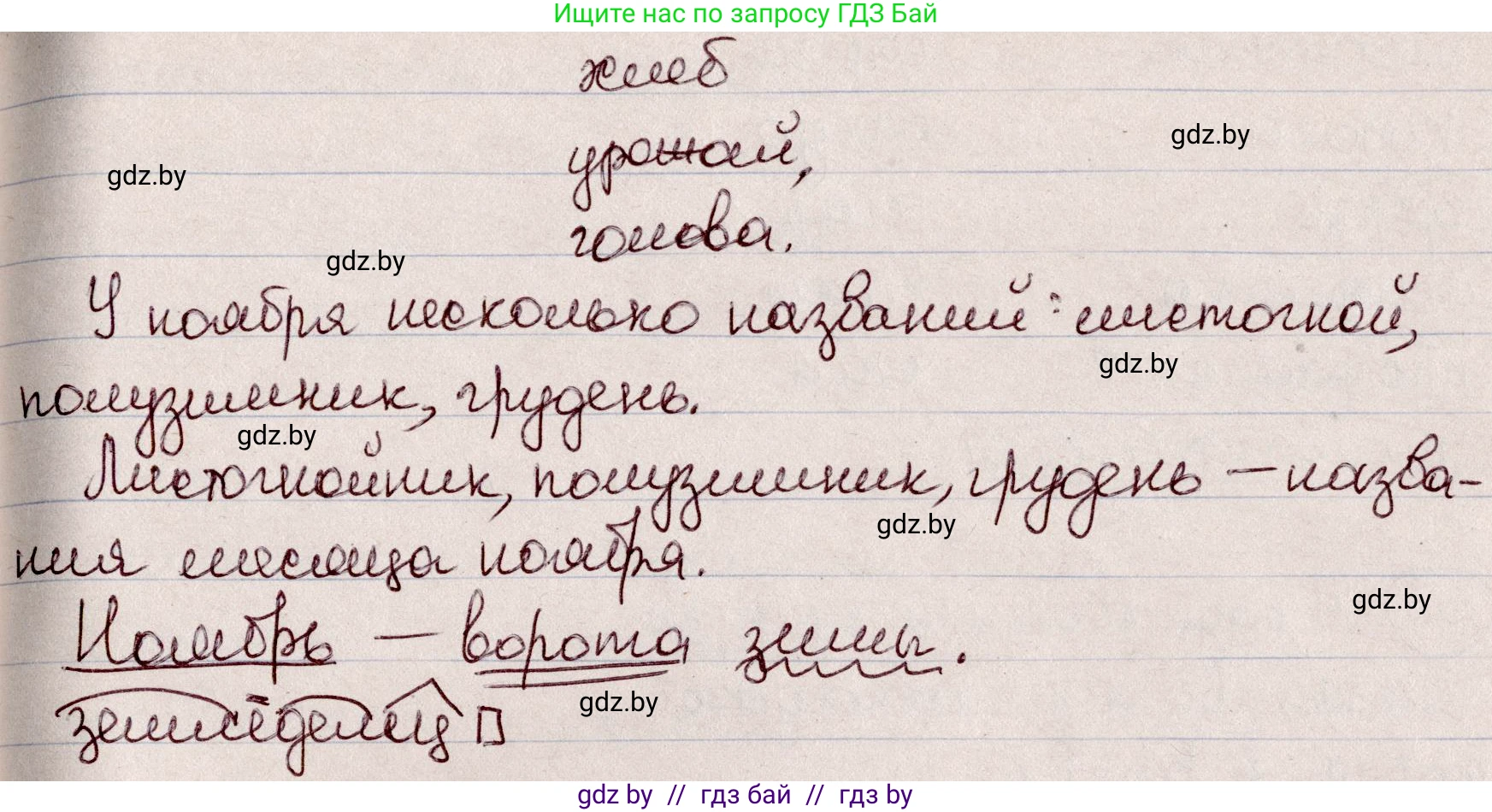 Русский язык, 6 класс Учебник, авторы: Мурина Лариса Александровна, Игнатович Татьяна Владимировна, Жадейко Жанна Фёдоровна, издательство Национальный институт образования, Минск, 2020, страница 99, номер 206, Решение 2 (продолжение 2)