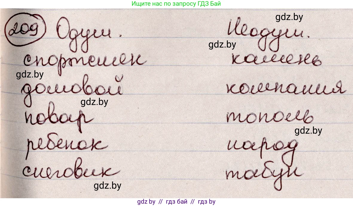 Русский язык, 6 класс Учебник, авторы: Мурина Лариса Александровна, Игнатович Татьяна Владимировна, Жадейко Жанна Фёдоровна, издательство Национальный институт образования, Минск, 2020, страница 100, номер 209, Решение 2