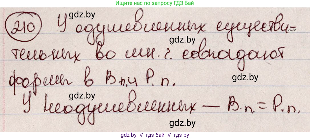 Русский язык, 6 класс Учебник, авторы: Мурина Лариса Александровна, Игнатович Татьяна Владимировна, Жадейко Жанна Фёдоровна, издательство Национальный институт образования, Минск, 2020, страница 101, номер 210, Решение 2