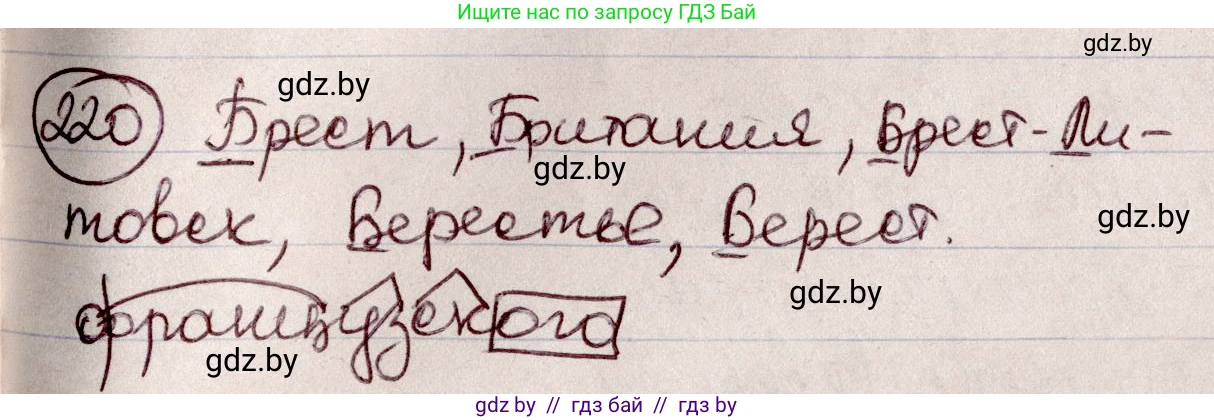 Русский язык, 6 класс Учебник, авторы: Мурина Лариса Александровна, Игнатович Татьяна Владимировна, Жадейко Жанна Фёдоровна, издательство Национальный институт образования, Минск, 2020, страница 106, номер 220, Решение 2