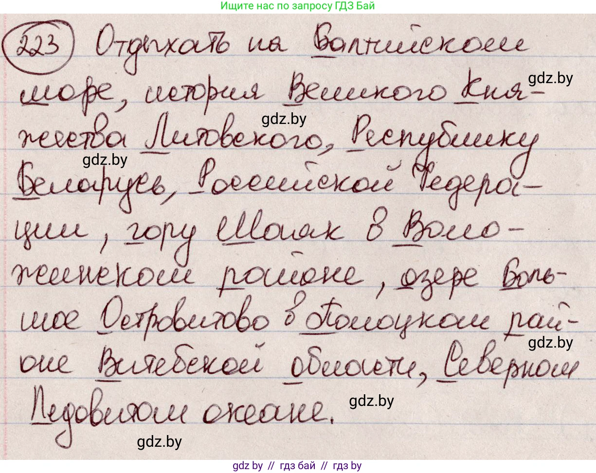 Русский язык, 6 класс Учебник, авторы: Мурина Лариса Александровна, Игнатович Татьяна Владимировна, Жадейко Жанна Фёдоровна, издательство Национальный институт образования, Минск, 2020, страница 108, номер 223, Решение 2