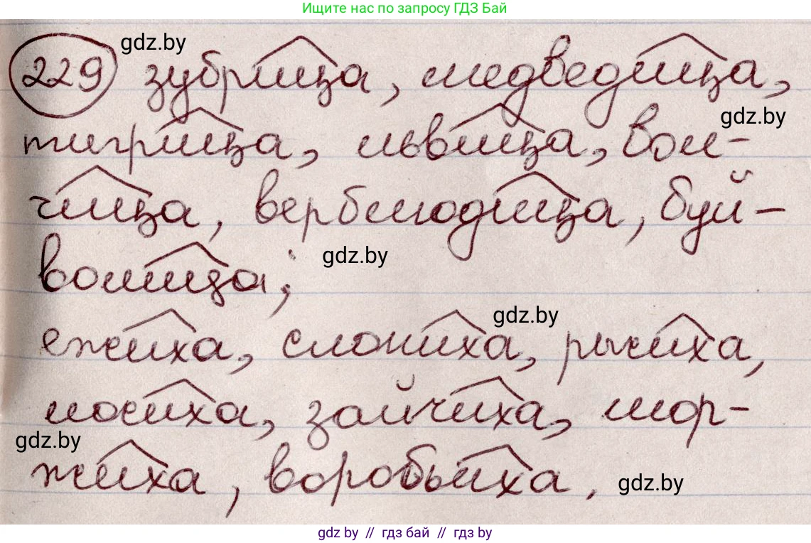 Русский язык, 6 класс Учебник, авторы: Мурина Лариса Александровна, Игнатович Татьяна Владимировна, Жадейко Жанна Фёдоровна, издательство Национальный институт образования, Минск, 2020, страница 110, номер 229, Решение 2