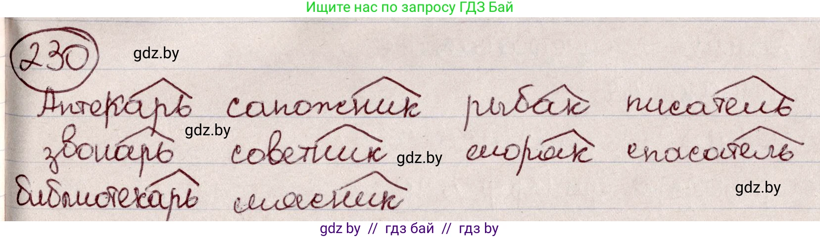 Русский язык, 6 класс Учебник, авторы: Мурина Лариса Александровна, Игнатович Татьяна Владимировна, Жадейко Жанна Фёдоровна, издательство Национальный институт образования, Минск, 2020, страница 110, номер 230, Решение 2