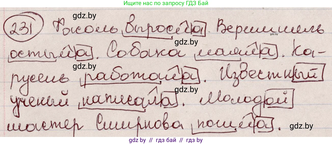 Русский язык, 6 класс Учебник, авторы: Мурина Лариса Александровна, Игнатович Татьяна Владимировна, Жадейко Жанна Фёдоровна, издательство Национальный институт образования, Минск, 2020, страница 110, номер 231, Решение 2