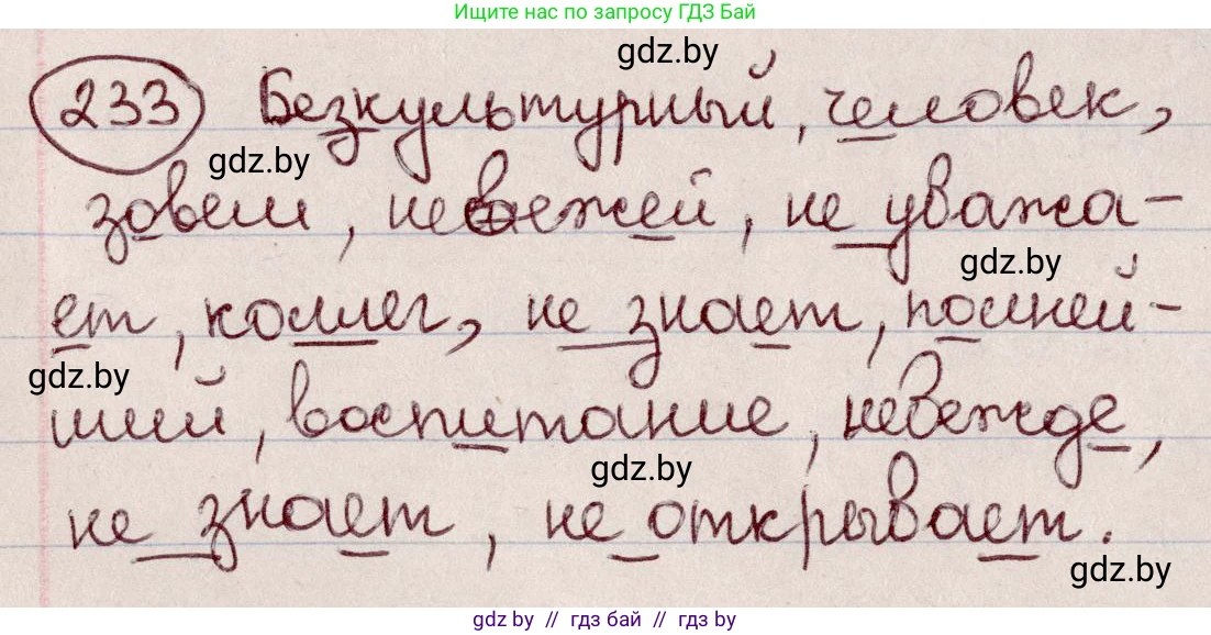 Русский язык, 6 класс Учебник, авторы: Мурина Лариса Александровна, Игнатович Татьяна Владимировна, Жадейко Жанна Фёдоровна, издательство Национальный институт образования, Минск, 2020, страница 111, номер 233, Решение 2