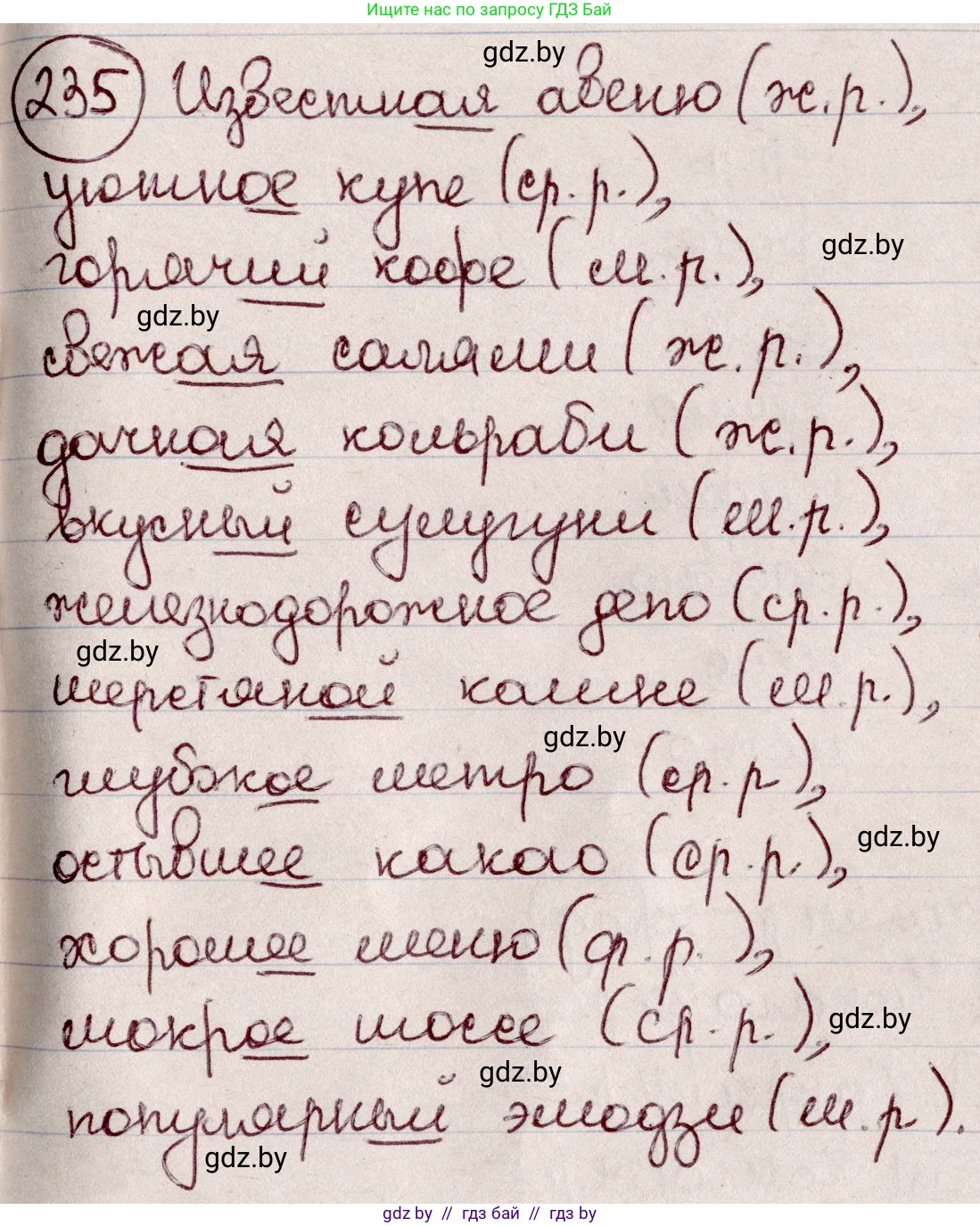 Русский язык, 6 класс Учебник, авторы: Мурина Лариса Александровна, Игнатович Татьяна Владимировна, Жадейко Жанна Фёдоровна, издательство Национальный институт образования, Минск, 2020, страница 113, номер 235, Решение 2