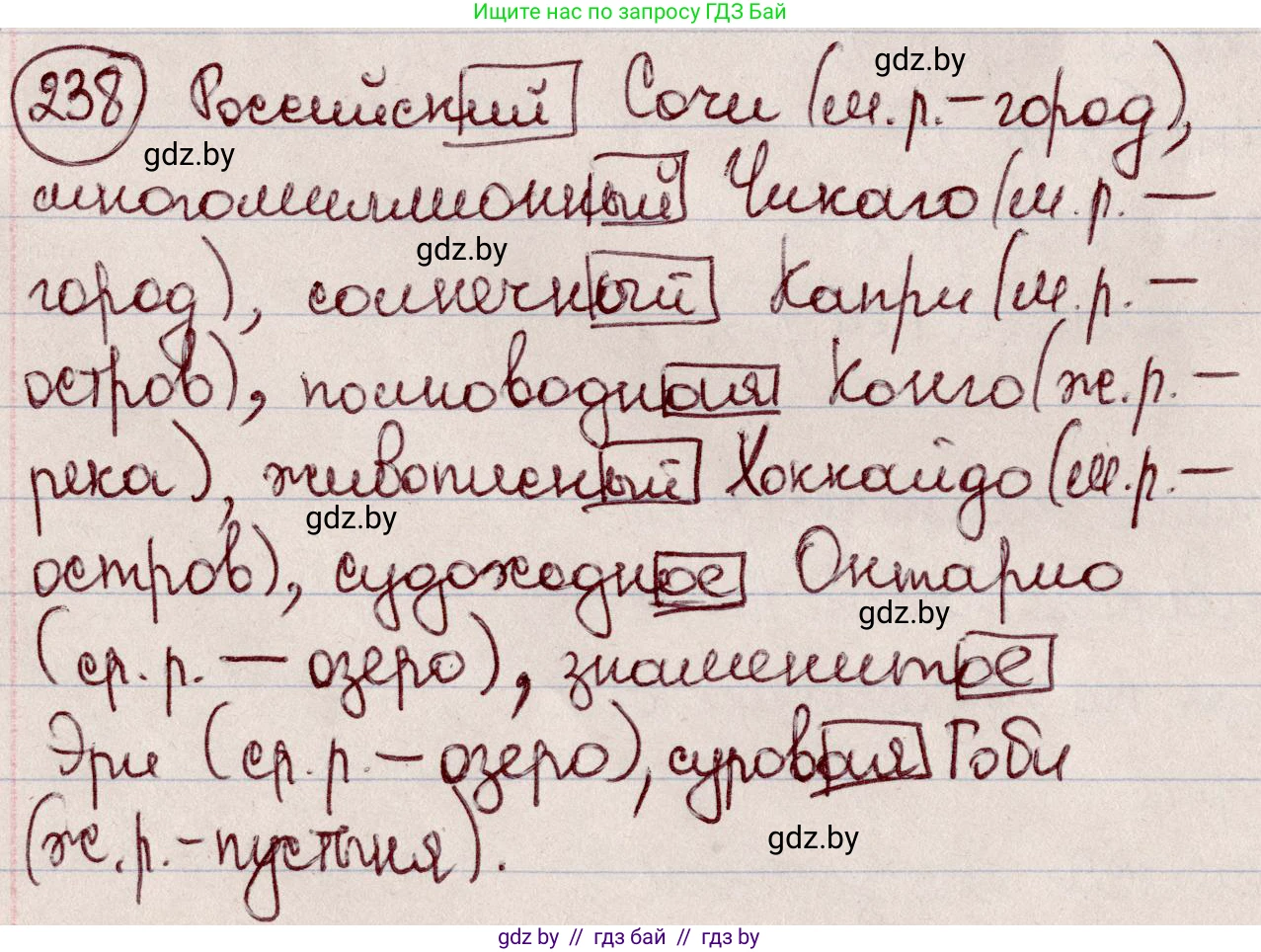 Русский язык, 6 класс Учебник, авторы: Мурина Лариса Александровна, Игнатович Татьяна Владимировна, Жадейко Жанна Фёдоровна, издательство Национальный институт образования, Минск, 2020, страница 114, номер 238, Решение 2