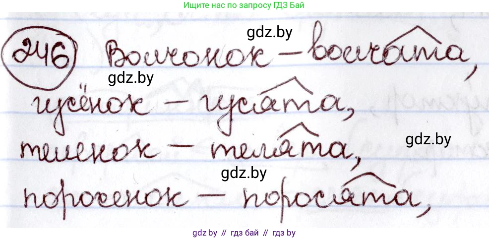 Русский язык, 6 класс Учебник, авторы: Мурина Лариса Александровна, Игнатович Татьяна Владимировна, Жадейко Жанна Фёдоровна, издательство Национальный институт образования, Минск, 2020, страница 117, номер 246, Решение 2