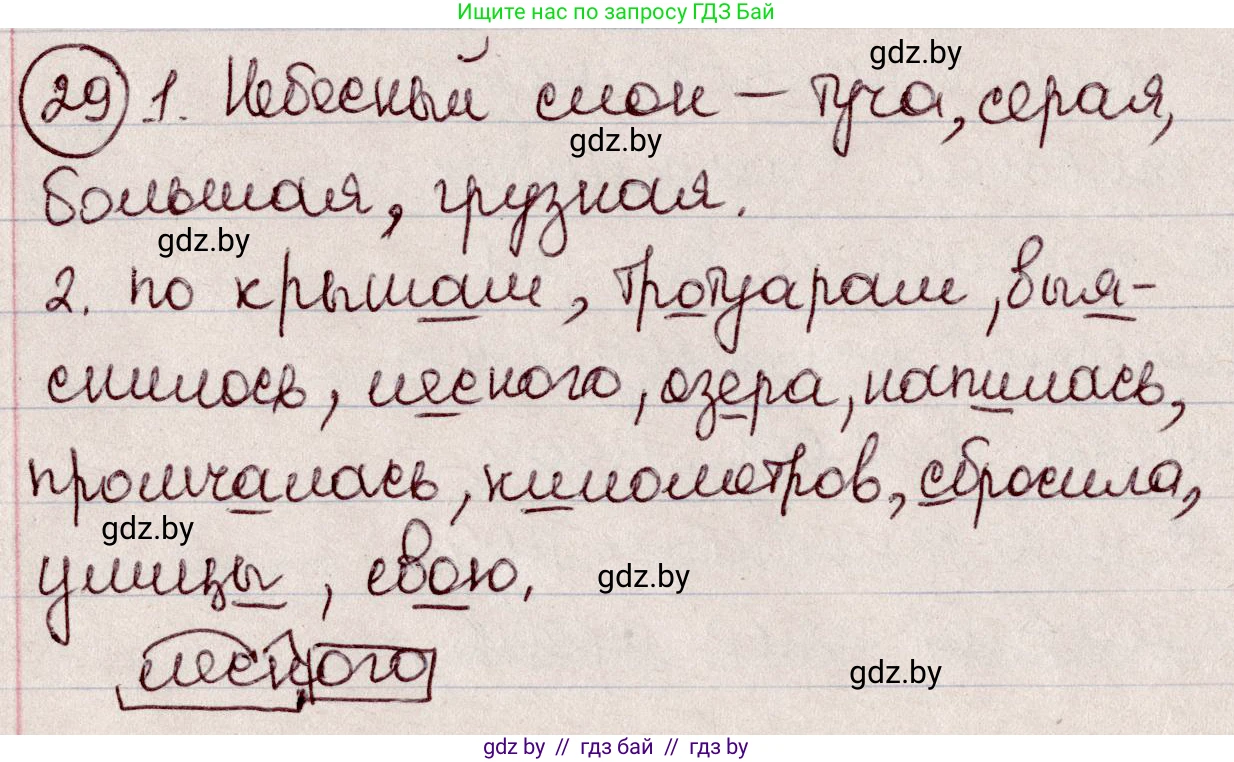 Русский язык, 6 класс Учебник, авторы: Мурина Лариса Александровна, Игнатович Татьяна Владимировна, Жадейко Жанна Фёдоровна, издательство Национальный институт образования, Минск, 2020, страница 19, номер 29, Решение 2