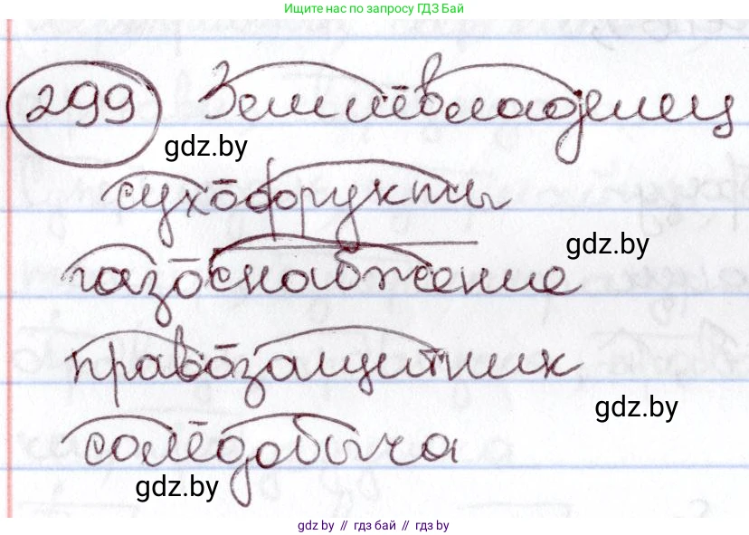 Русский язык, 6 класс Учебник, авторы: Мурина Лариса Александровна, Игнатович Татьяна Владимировна, Жадейко Жанна Фёдоровна, издательство Национальный институт образования, Минск, 2020, страница 142, номер 299, Решение 2