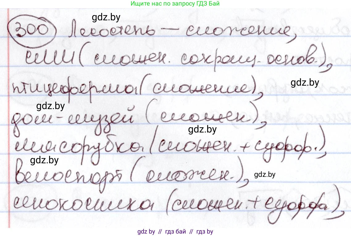 Русский язык, 6 класс Учебник, авторы: Мурина Лариса Александровна, Игнатович Татьяна Владимировна, Жадейко Жанна Фёдоровна, издательство Национальный институт образования, Минск, 2020, страница 142, номер 300, Решение 2
