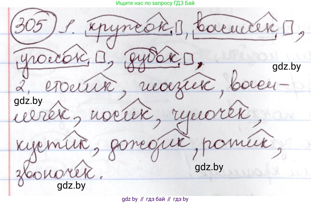 Русский язык, 6 класс Учебник, авторы: Мурина Лариса Александровна, Игнатович Татьяна Владимировна, Жадейко Жанна Фёдоровна, издательство Национальный институт образования, Минск, 2020, страница 145, номер 305, Решение 2