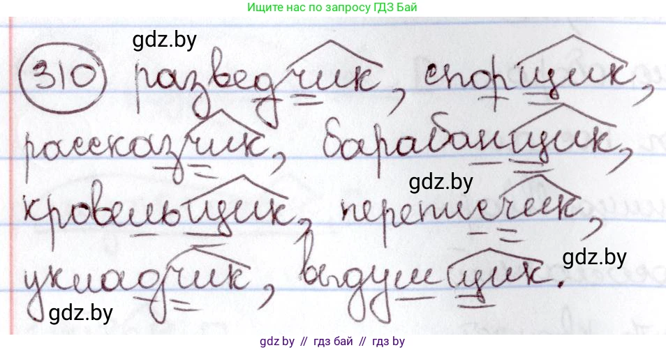 Русский язык, 6 класс Учебник, авторы: Мурина Лариса Александровна, Игнатович Татьяна Владимировна, Жадейко Жанна Фёдоровна, издательство Национальный институт образования, Минск, 2020, страница 146, номер 310, Решение 2