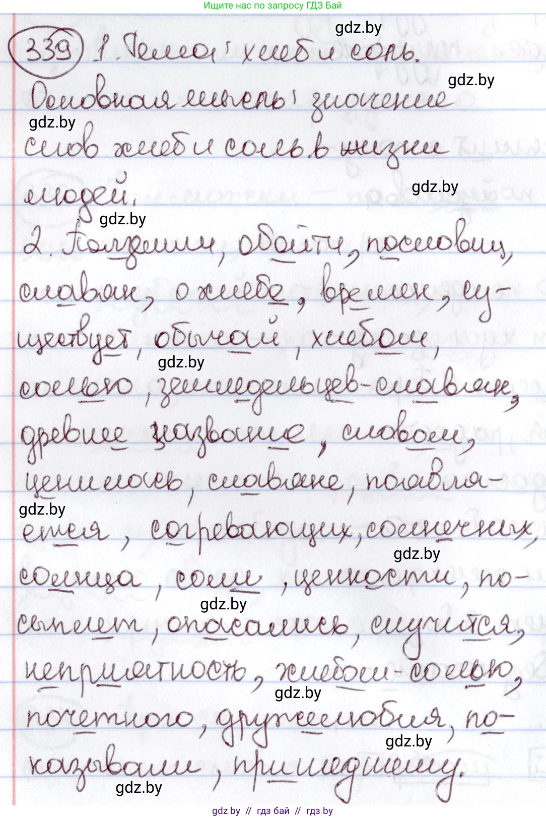 Русский язык, 6 класс Учебник, авторы: Мурина Лариса Александровна, Игнатович Татьяна Владимировна, Жадейко Жанна Фёдоровна, издательство Национальный институт образования, Минск, 2020, страница 156, номер 339, Решение 2