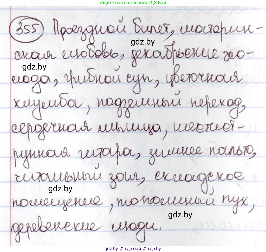 Русский язык, 6 класс Учебник, авторы: Мурина Лариса Александровна, Игнатович Татьяна Владимировна, Жадейко Жанна Фёдоровна, издательство Национальный институт образования, Минск, 2020, страница 163, номер 355, Решение 2