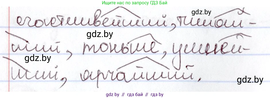 Русский язык, 6 класс Учебник, авторы: Мурина Лариса Александровна, Игнатович Татьяна Владимировна, Жадейко Жанна Фёдоровна, издательство Национальный институт образования, Минск, 2020, страница 176, номер 389, Решение 2 (продолжение 2)