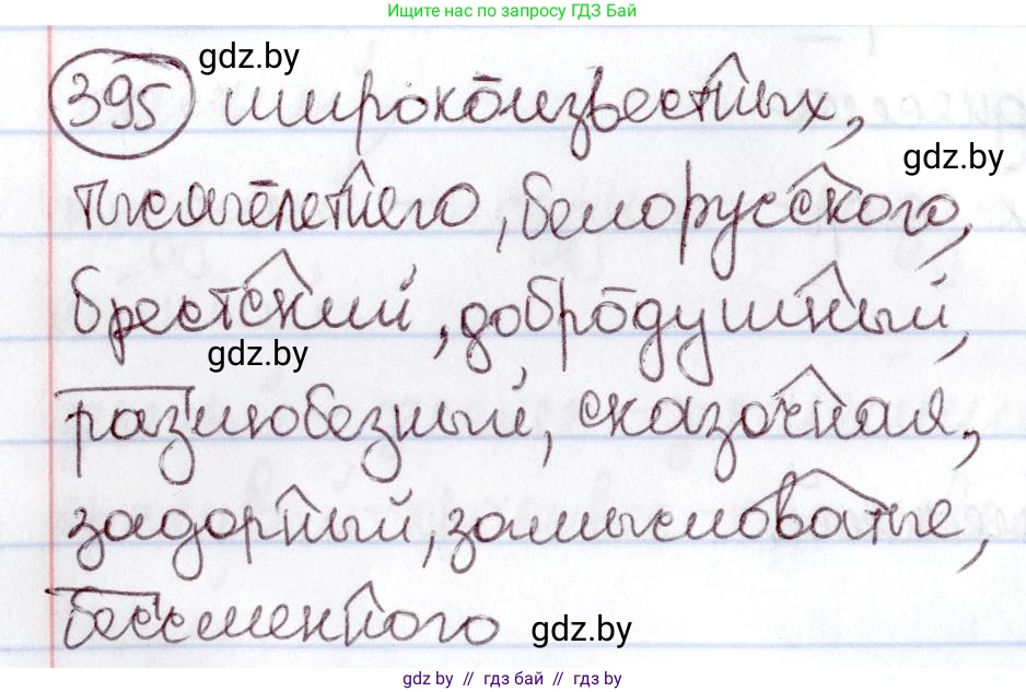 Русский язык, 6 класс Учебник, авторы: Мурина Лариса Александровна, Игнатович Татьяна Владимировна, Жадейко Жанна Фёдоровна, издательство Национальный институт образования, Минск, 2020, страница 178, номер 395, Решение 2