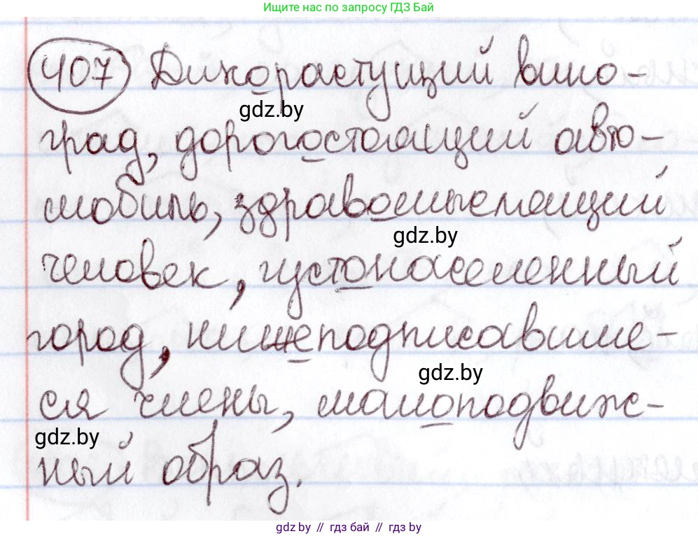 Русский язык, 6 класс Учебник, авторы: Мурина Лариса Александровна, Игнатович Татьяна Владимировна, Жадейко Жанна Фёдоровна, издательство Национальный институт образования, Минск, 2020, страница 183, номер 407, Решение 2