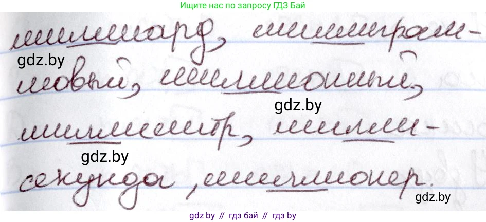 Русский язык, 6 класс Учебник, авторы: Мурина Лариса Александровна, Игнатович Татьяна Владимировна, Жадейко Жанна Фёдоровна, издательство Национальный институт образования, Минск, 2020, страница 202, номер 455, Решение 2 (продолжение 2)