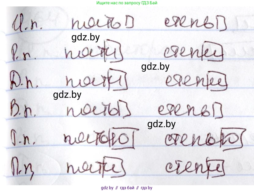 Русский язык, 6 класс Учебник, авторы: Мурина Лариса Александровна, Игнатович Татьяна Владимировна, Жадейко Жанна Фёдоровна, издательство Национальный институт образования, Минск, 2020, страница 203, номер 459, Решение 2 (продолжение 2)