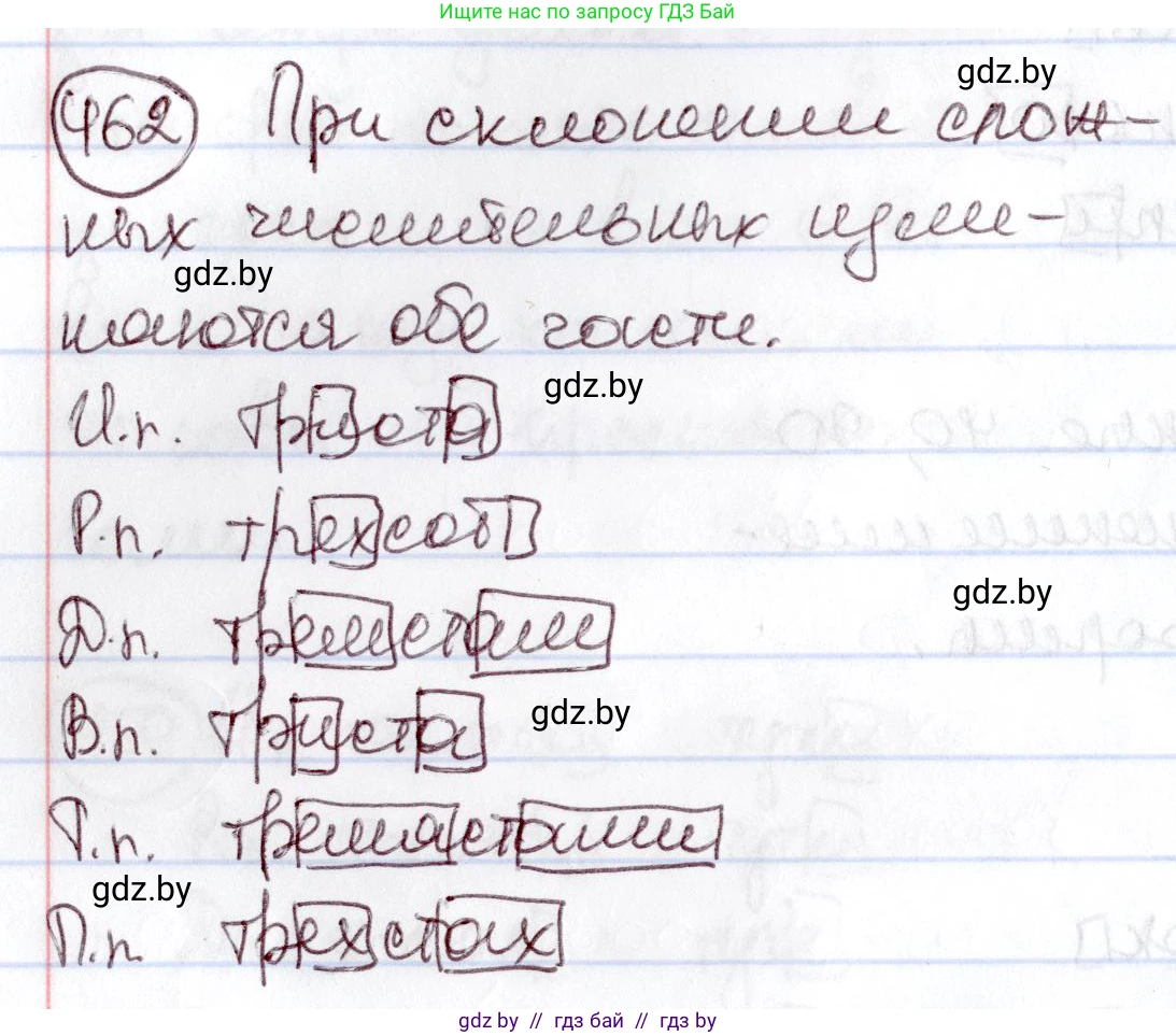 Русский язык, 6 класс Учебник, авторы: Мурина Лариса Александровна, Игнатович Татьяна Владимировна, Жадейко Жанна Фёдоровна, издательство Национальный институт образования, Минск, 2020, страница 204, номер 462, Решение 2