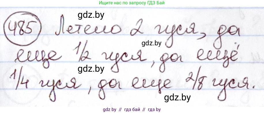 Русский язык, 6 класс Учебник, авторы: Мурина Лариса Александровна, Игнатович Татьяна Владимировна, Жадейко Жанна Фёдоровна, издательство Национальный институт образования, Минск, 2020, страница 210, номер 485, Решение 2