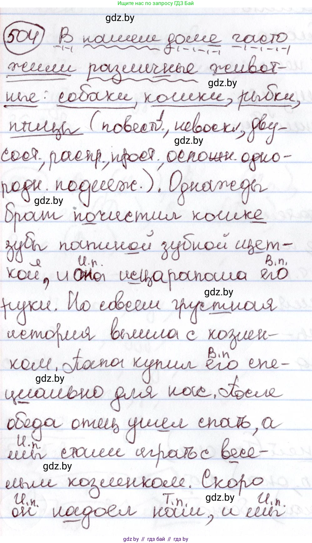 Русский язык, 6 класс Учебник, авторы: Мурина Лариса Александровна, Игнатович Татьяна Владимировна, Жадейко Жанна Фёдоровна, издательство Национальный институт образования, Минск, 2020, страница 217, номер 504, Решение 2