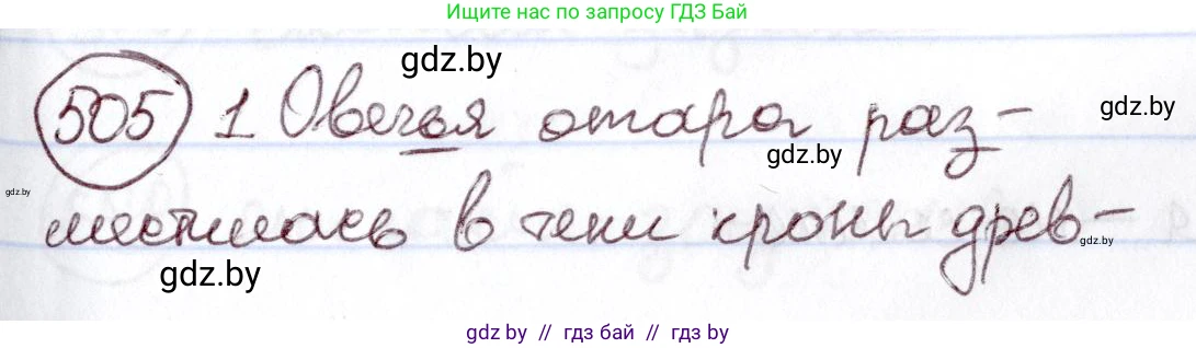 Русский язык, 6 класс Учебник, авторы: Мурина Лариса Александровна, Игнатович Татьяна Владимировна, Жадейко Жанна Фёдоровна, издательство Национальный институт образования, Минск, 2020, страница 217, номер 505, Решение 2