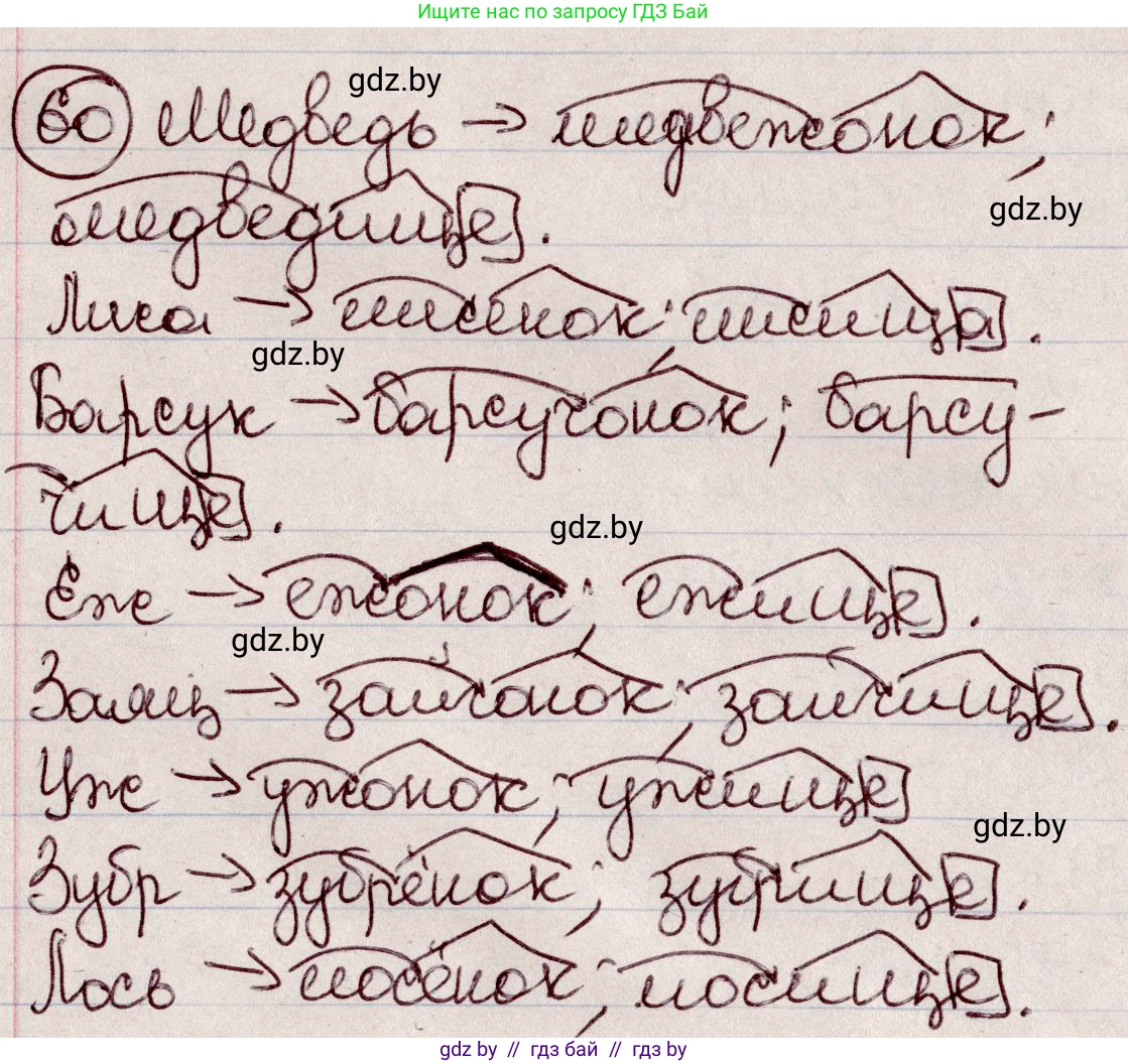 Русский язык, 6 класс Учебник, авторы: Мурина Лариса Александровна, Игнатович Татьяна Владимировна, Жадейко Жанна Фёдоровна, издательство Национальный институт образования, Минск, 2020, страница 34, номер 60, Решение 2