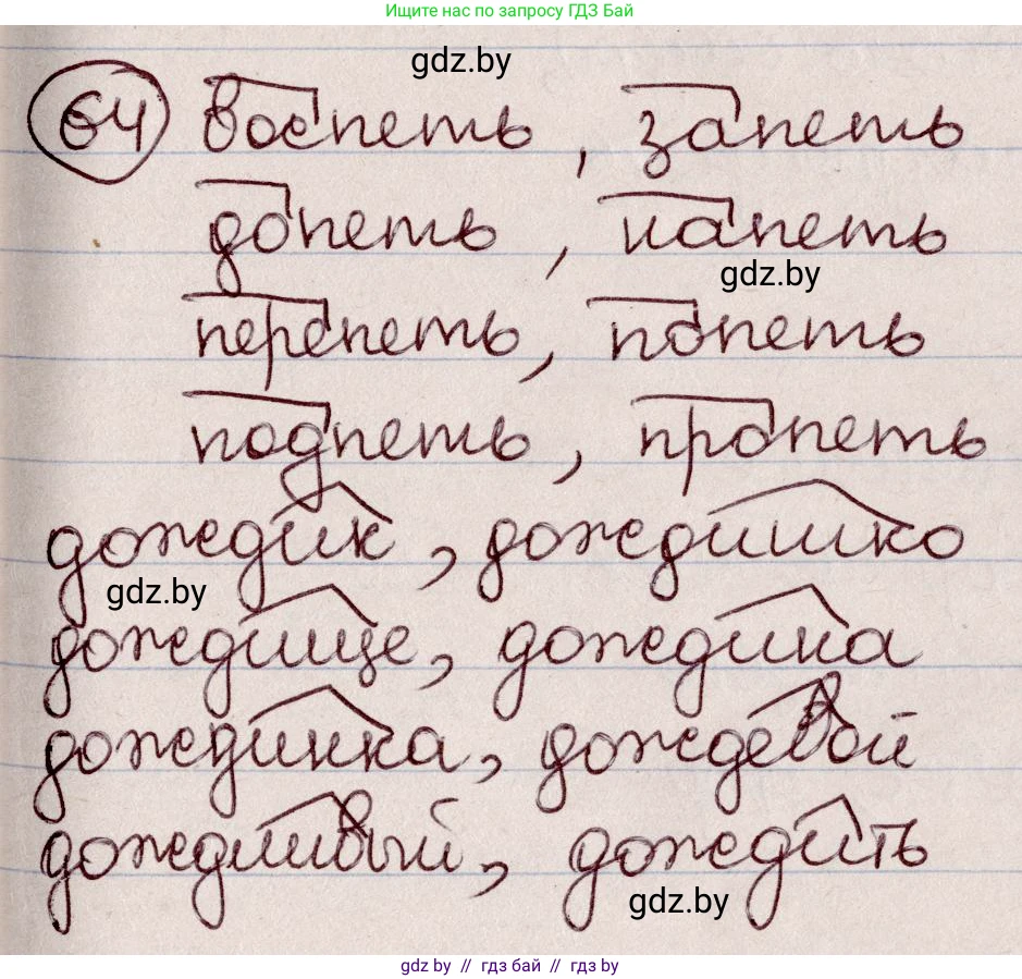 Русский язык, 6 класс Учебник, авторы: Мурина Лариса Александровна, Игнатович Татьяна Владимировна, Жадейко Жанна Фёдоровна, издательство Национальный институт образования, Минск, 2020, страница 36, номер 64, Решение 2