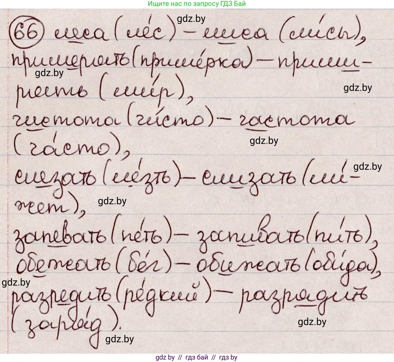 Русский язык, 6 класс Учебник, авторы: Мурина Лариса Александровна, Игнатович Татьяна Владимировна, Жадейко Жанна Фёдоровна, издательство Национальный институт образования, Минск, 2020, страница 37, номер 66, Решение 2