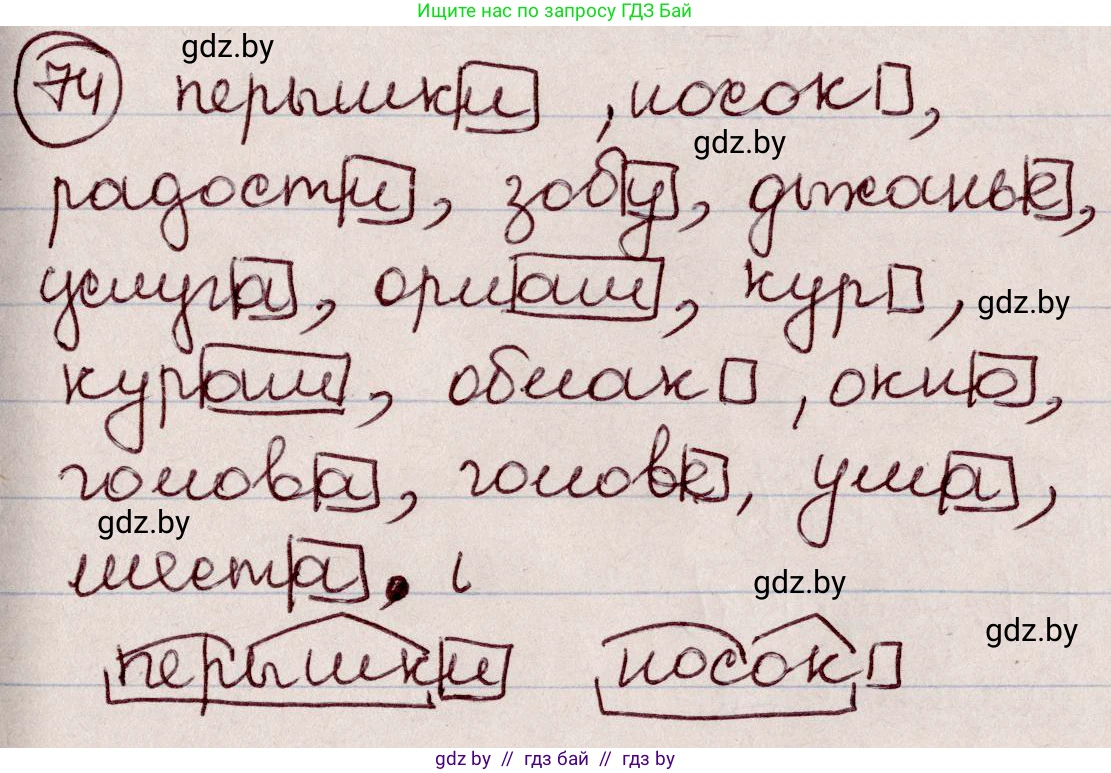 Русский язык, 6 класс Учебник, авторы: Мурина Лариса Александровна, Игнатович Татьяна Владимировна, Жадейко Жанна Фёдоровна, издательство Национальный институт образования, Минск, 2020, страница 41, номер 74, Решение 2