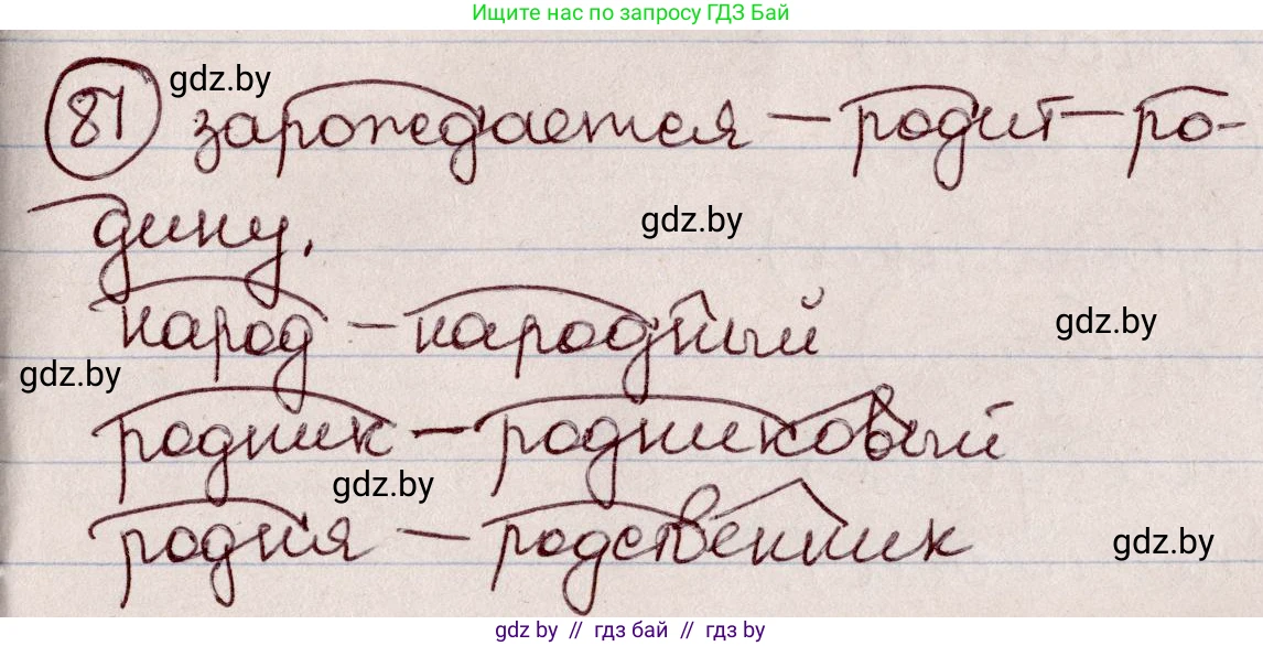 Русский язык, 6 класс Учебник, авторы: Мурина Лариса Александровна, Игнатович Татьяна Владимировна, Жадейко Жанна Фёдоровна, издательство Национальный институт образования, Минск, 2020, страница 44, номер 81, Решение 2