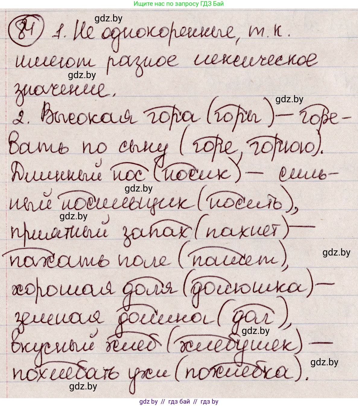 Русский язык, 6 класс Учебник, авторы: Мурина Лариса Александровна, Игнатович Татьяна Владимировна, Жадейко Жанна Фёдоровна, издательство Национальный институт образования, Минск, 2020, страница 45, номер 84, Решение 2