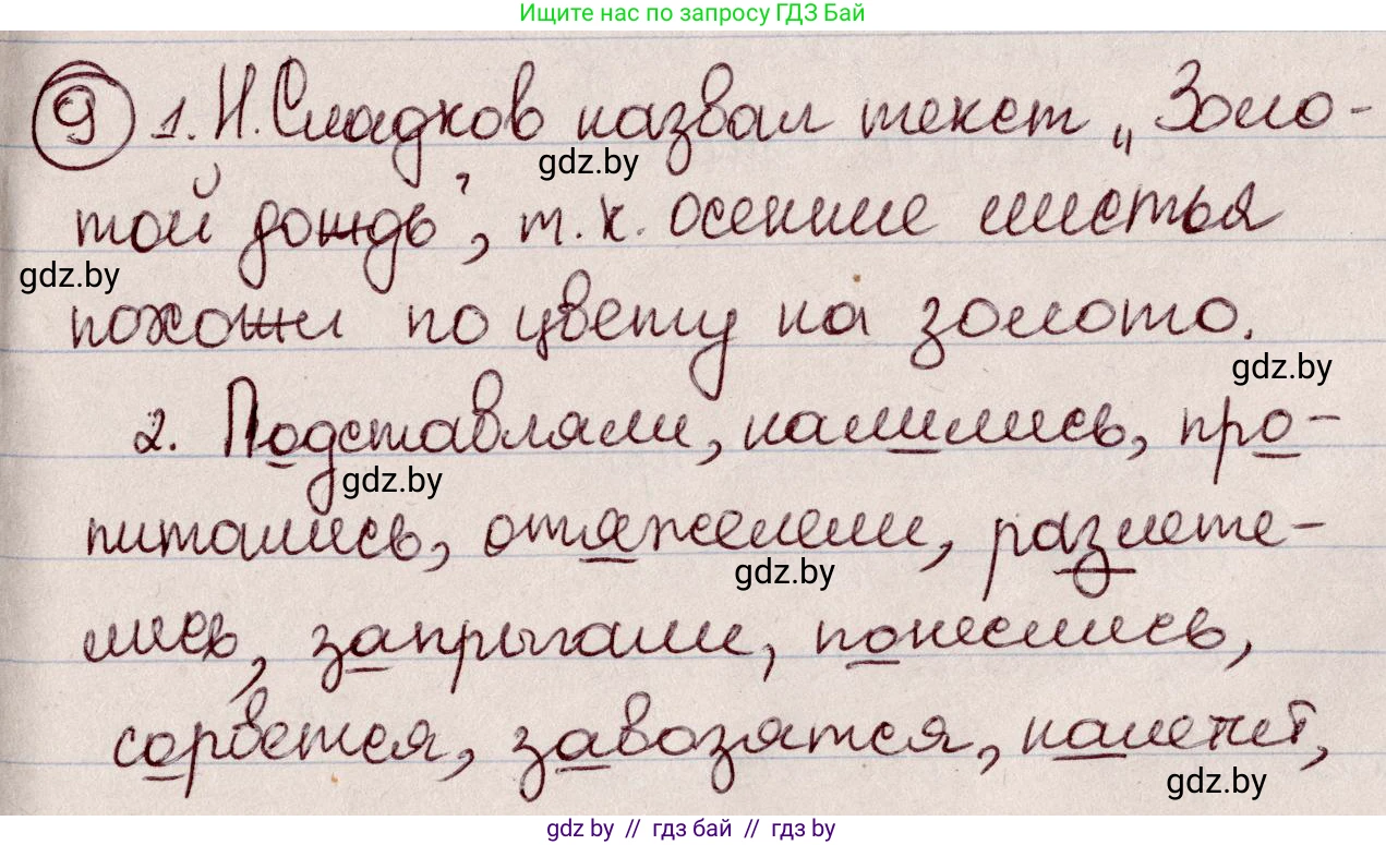 Русский язык, 6 класс Учебник, авторы: Мурина Лариса Александровна, Игнатович Татьяна Владимировна, Жадейко Жанна Фёдоровна, издательство Национальный институт образования, Минск, 2020, страница 7, номер 9, Решение 2